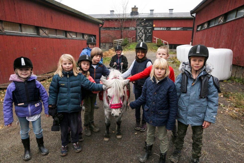 HESTEGLAD GJENG: Ungene som er med i Bjerke Travbane AKS satte pris på at Barnas stortingsraepresentant, Silje Hjelmdal (Frp, ved tømmene), kom på besøk for å se på det flotte tilbudet de er en del av. Foto: