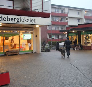 PÅ LINDEBERG: Hundepatruljen har gjort søk på Lindeberg mandag ettermidag Foto: