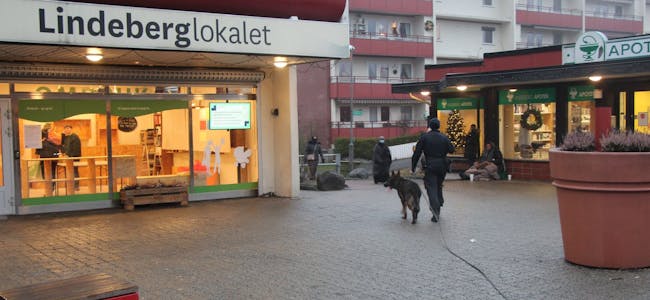 PÅ LINDEBERG: Hundepatruljen har gjort søk på Lindeberg mandag ettermidag Foto: