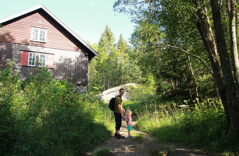 VIL HA STI: Alnas Tore Syvert Haga (SV) vil ha en sti i skogen opp til Grønlihytta som er tilrettelagt for trilleturer. (Foto: Bente Lise Dagenborg.)  Foto: