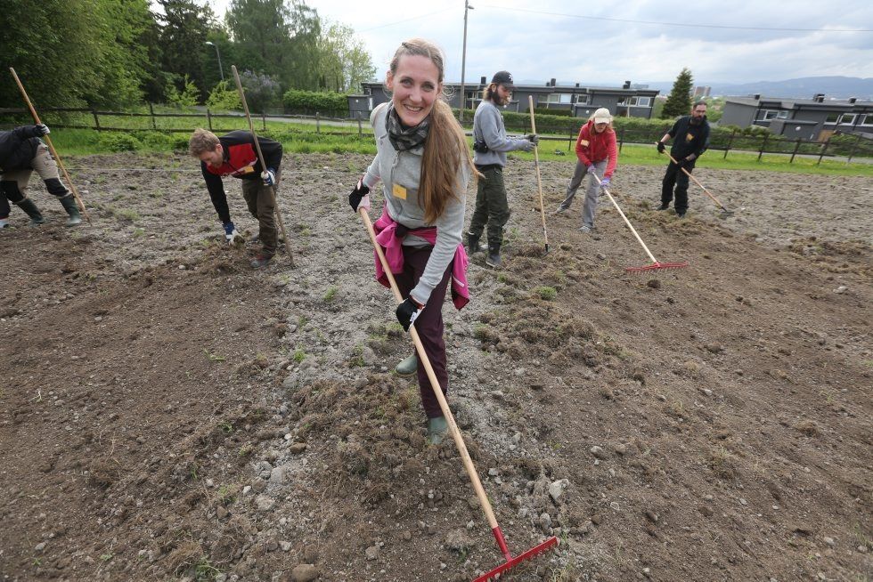 ENDELIG BONDE: Monika Koller fra Lohøgda borettslag har endelig fått mulighet til å dyrke grønnsaker på Tveten gård - få meter fra egen bolig. Foto: