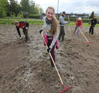 ENDELIG BONDE: Monika Koller fra Lohøgda borettslag har endelig fått mulighet til å dyrke grønnsaker på Tveten gård - få meter fra egen bolig. Foto: