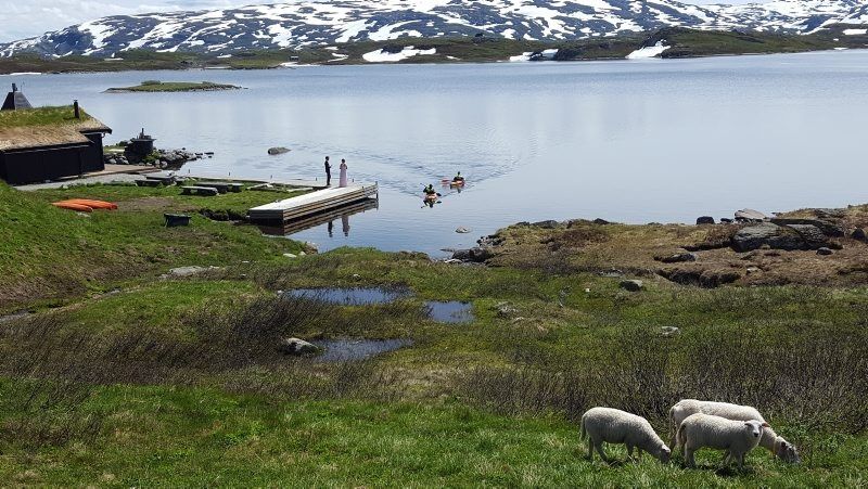 IDYLL LANGS VANNET: Trond Munkejord er denne ukens sommerfoto-vinner for bryllup i norsk natur. Foto: