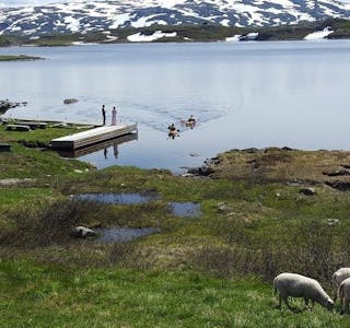 IDYLL LANGS VANNET: Trond Munkejord er denne ukens sommerfoto-vinner for bryllup i norsk natur. Foto: