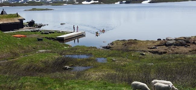 IDYLL LANGS VANNET: Trond Munkejord er denne ukens sommerfoto-vinner for bryllup i norsk natur. Foto: