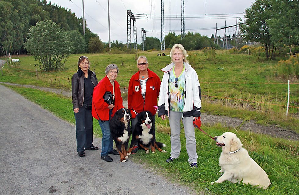 VIL HA PARK: Hundevenner i Groruddalen ønsker et område de kan gjerde inn slik at hundene deres kan løpe uten bånd. Her står Anne Winge (f.v.), Kari Fagernæs, Bjørg Møller og Bente Berg. Foto: