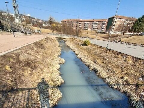 ULEKKERT: Men nå er ihvertfall mysteriet løst. Foto: Innsendt