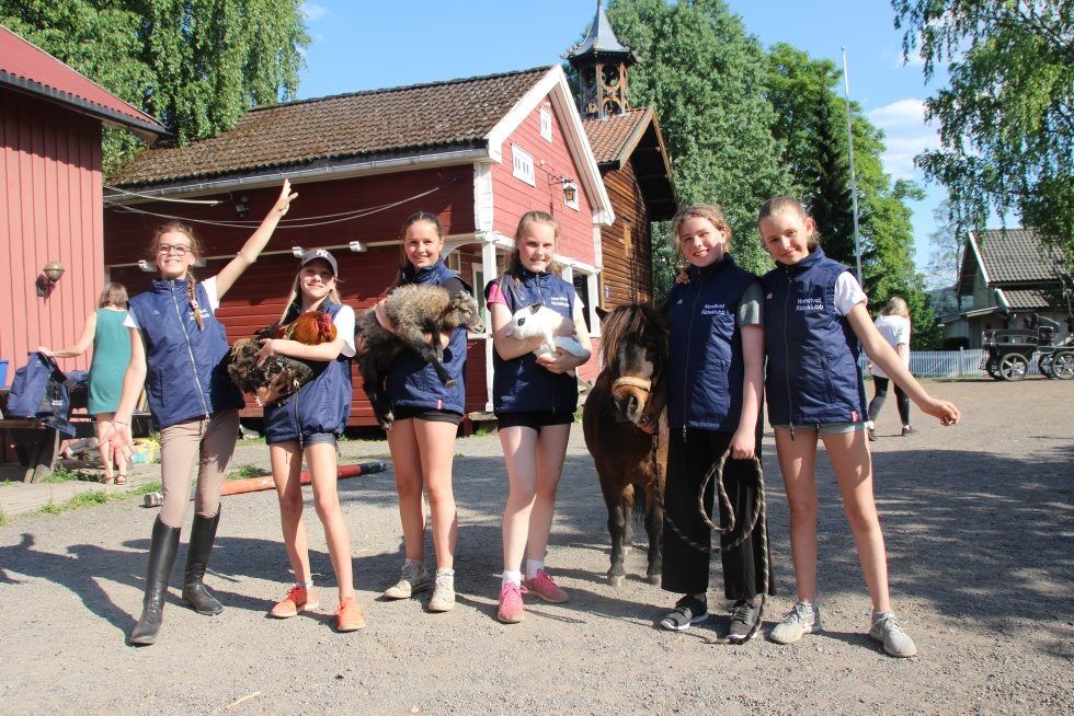 MØTE ALLE DYRENE: Rideklubben på Nordtvet gård inviterer store og små til oppvisning, ulike aktiviteter og en mulighet til å hilse på besøksgårdens dyr. Foto: