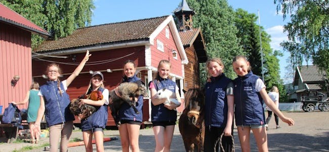 MØTE ALLE DYRENE: Rideklubben på Nordtvet gård inviterer store og små til oppvisning, ulike aktiviteter og en mulighet til å hilse på besøksgårdens dyr. Foto: