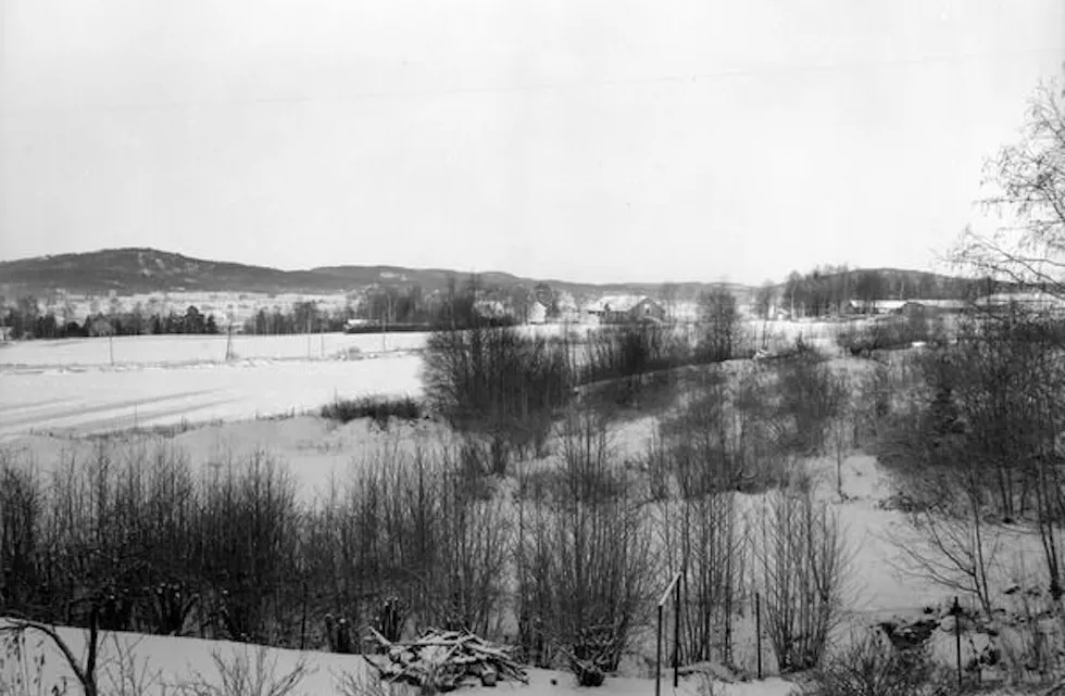 60-TALLET: Haugerud rundt 1960, før utbyggingen startet. Bilder er tatt fra Venåsveien og viser jordene hvor Haugerud borettslag ligger i dag. (Foto: Truls Teigen/Oslo bymuseum.) Foto: Truls Teigen/Oslo bymuseum