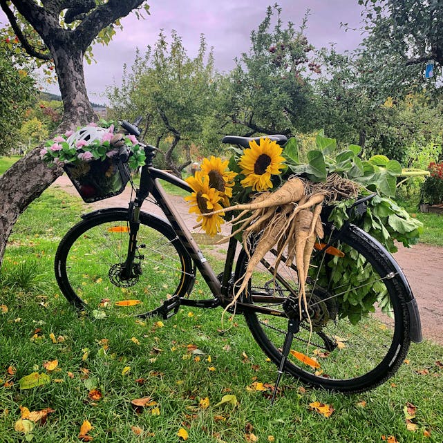 Høstmarked i Brobekk skolehage. Foto: x