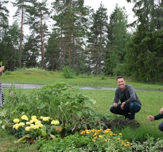 GGODT HUMØR I HAGEN: Cecilie Skar (f.v.), Kjetil Flateby og Arild Hermstad (MDG) samlet seg i nærmiljøhagen ved Bjøråsen skole for en liten smakstest. Foto: