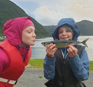 FISKEKYSS: Emil (9) viser stolt fram makrellen som er fisket i Selje på Vestlandet, mens Mathilde (13) benytter sjansen til å få et kyss. Bestemor Haldis Larsen gjør det eneste rette og fotograferer det hele. Foto: