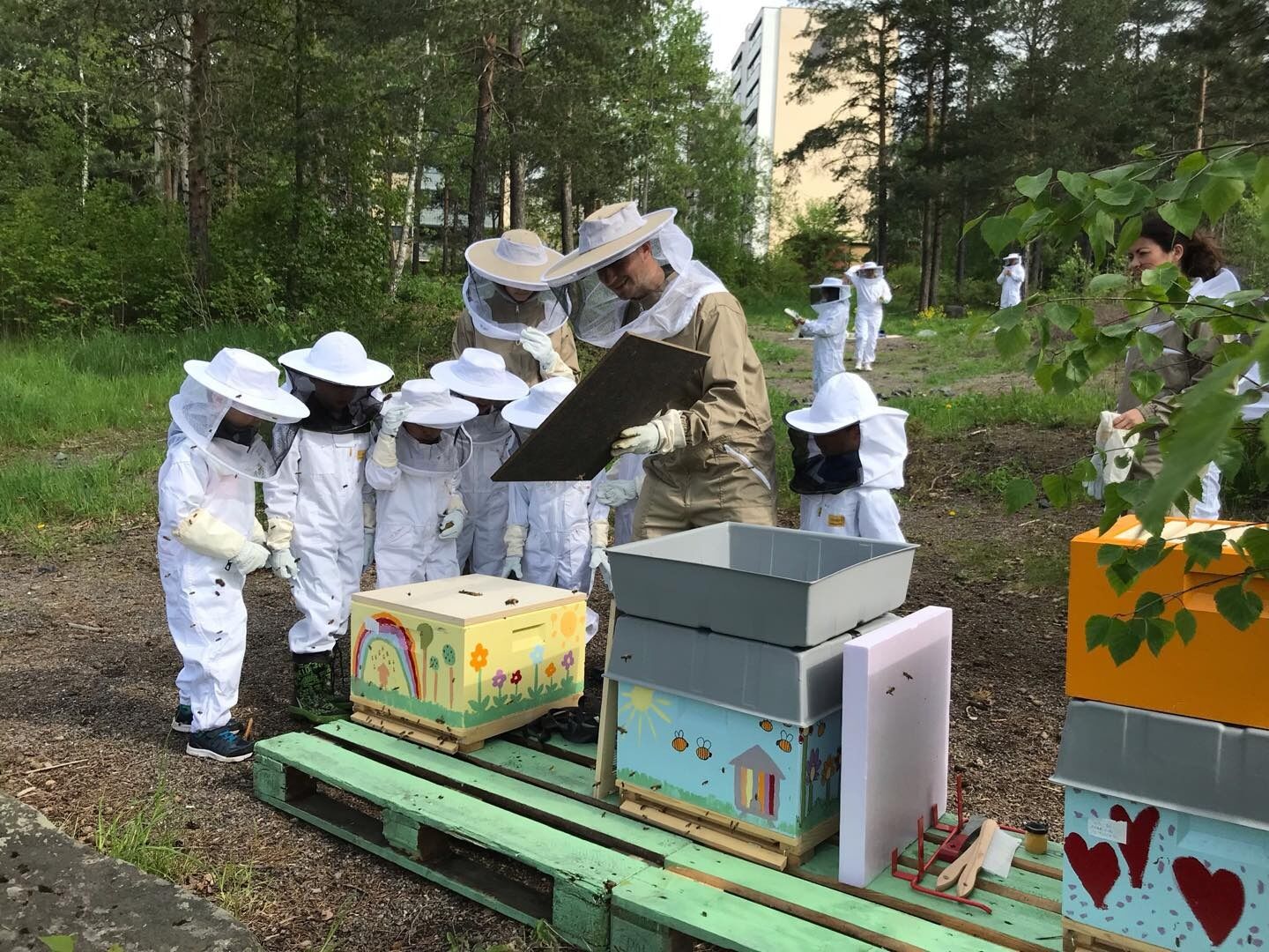 BIER: Romsås bigård ligger like ved Romsås senter. Driften har vært i gang en liten stund, blant annet med birøkterkurs for barnehagene i bydelen. Lørdag 15. juni blir det offisiell åpning. Foto: