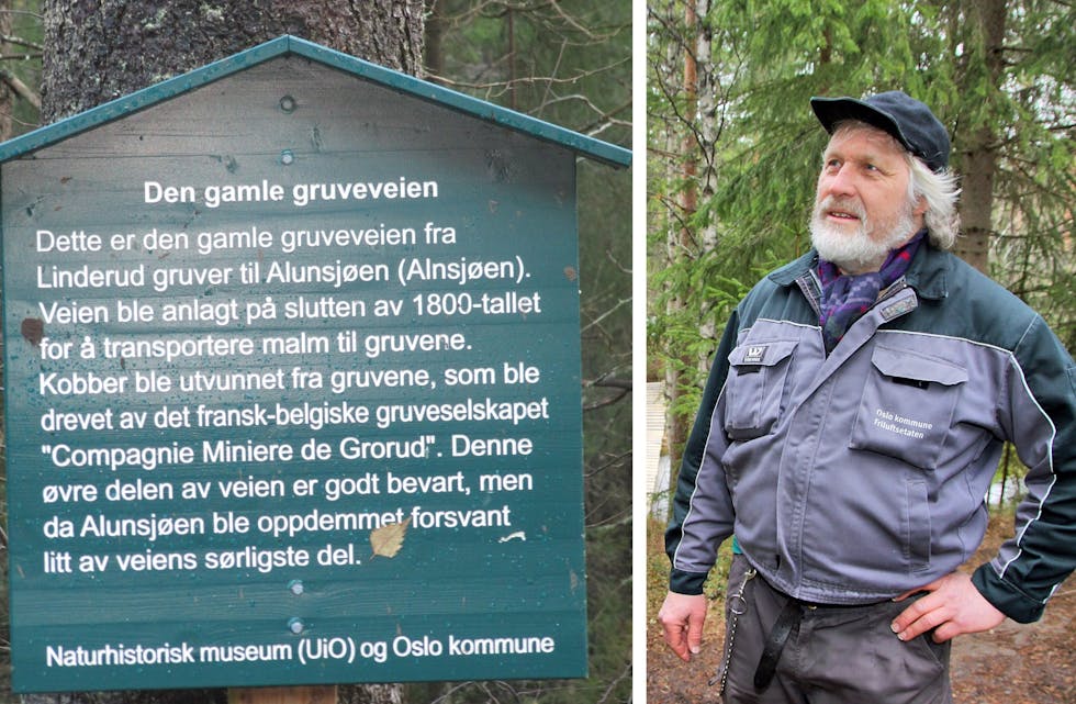 Håvard Pedersen (Årvoll) er tidligere oppsynsmann i Oslo kommunes skoger. Foto: