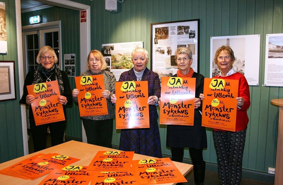 SKULLE DEMONSTRERE: Aker sykehus venner var blant de som skulle delta i fakkeltoget. Nå er det avlyst/utsatt. Foto: