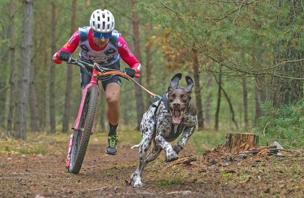 I AKSJON: Viktor Sinding-Larsen i aksjon med hunden Alonso under sparkesykkelkonkurransen i prøve-EM. Foto: Jojo Heyn