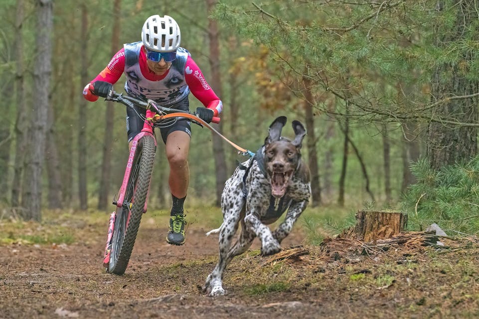 I AKSJON: Viktor Sinding-Larsen i aksjon med hunden Alonso under sparkesykkelkonkurransen i prøve-EM. Foto: Jojo Heyn