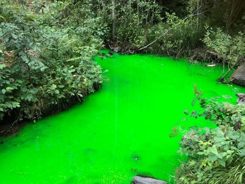 GRØNT I ELVA: Dette bildet er tatt av Alnaelva ved Lilloseterveien 62 og viser at vannet i elva er grønt. Dette er helt ufarlig, opplyser Vann- og avløpsetaten som sporer lekkasjer i avløpsrørene (FOTO: Anne Marthe Ringerud). Foto: