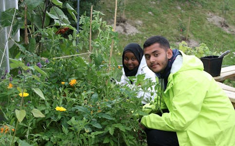 LÆRT NOE NYTT: Sumaya Elmy (18) og Danish Anwarnadz (16) hadde aldri drevet med hagearbeid før denne sommeren. Nå har de plantet og luket i to uker av ferien sin. Foto: Caroline Hammer