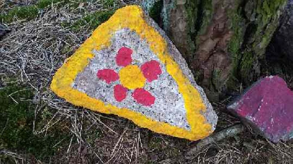 HYGGELIG KVELDSTUR: Solveig Vesterheim kunne ikke annet enn  smile da hun gikk en kveldsrunde i Lillomarka her om dagen. Foto: