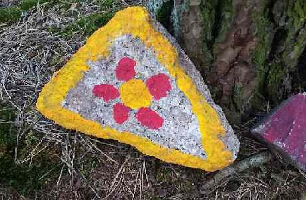 HYGGELIG KVELDSTUR: Solveig Vesterheim kunne ikke annet enn smile da hun gikk en kveldsrunde i Lillomarka her om dagen. Foto: