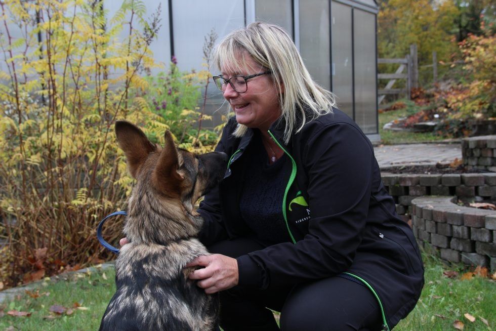 EKTE HUNDEMENNESKE: Heidi Tokstad omgir seg med dyr av alle slag, men hunder har en spesiell plass i hjertet hennes. Her er det Encas som får litt av rektors, og matmors, oppmerksomhet. Foto: