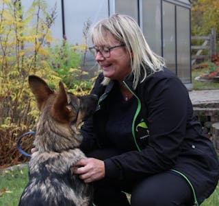 EKTE HUNDEMENNESKE: Heidi Tokstad omgir seg med dyr av alle slag, men hunder har en spesiell plass i hjertet hennes. Her er det Encas som får litt av rektors, og matmors, oppmerksomhet. Foto:
