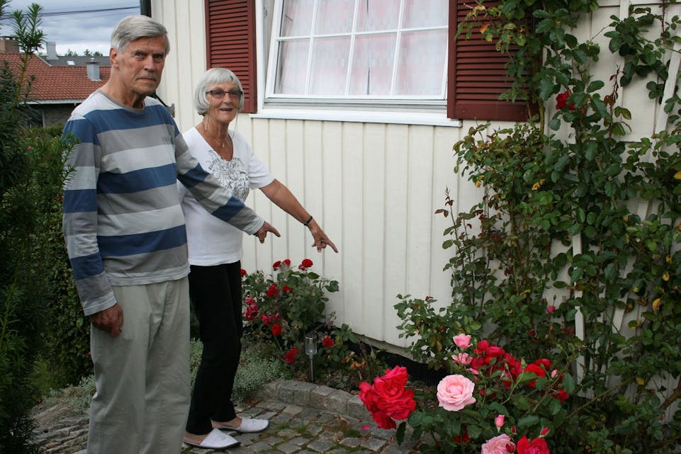 SKAMKLIPT: Arne Pål Turtumøygard (t.v.) og Jorun Haldis Graffer hadde en flott rosebusk under soveromsvinduet før de fikk uvelkomment besøk denne helgen. Rosene foran i bildet er de som ble klippet av, og som nå står i en vase. Foto: Caroline Hammer