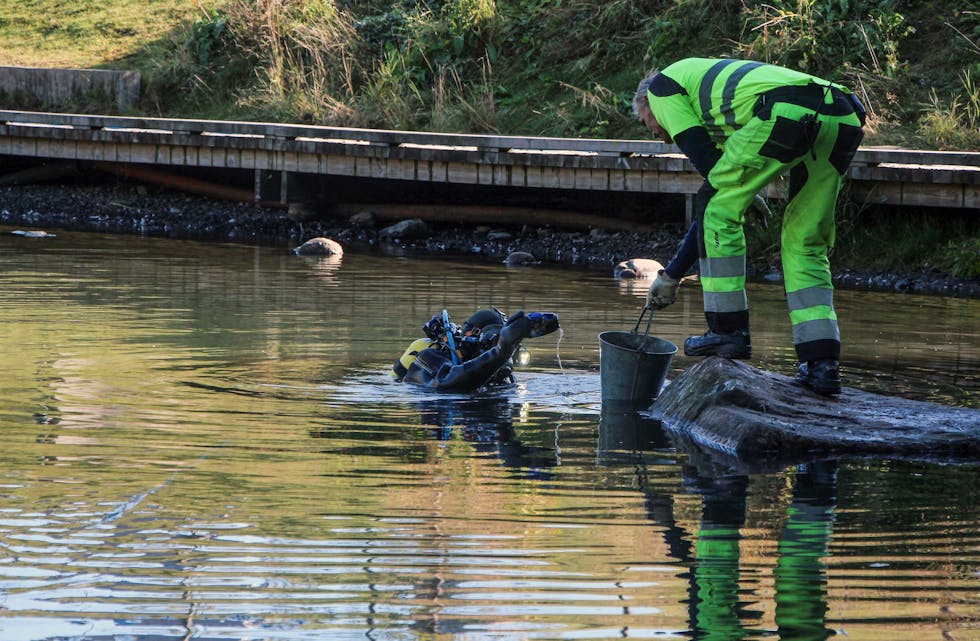 GRORUDDAMEN: Dykkere fra Buskerud Dykkeservice var hyret inn for å rydde i Groruddammen. Det ble ryddet i dammen i fjor også, og det viste seg onsdag da dykkerne denne gangen hentet opp langt mindre avfall enn i fjor. Likevel viser tall fra ryddeaksjonen at det fremdeles er mye avfall i og langs Alnaelva som må tas tak i. Foto: