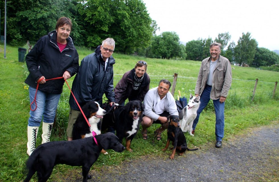 VIL HA HUNDEPARK: Hundeeierne Sissel Karlsen (f.v.), Bjørg Møller, Anne Winge, Martin Mongstad og Egil Mongstad har søkt om friområde for hundene sine. Foto: