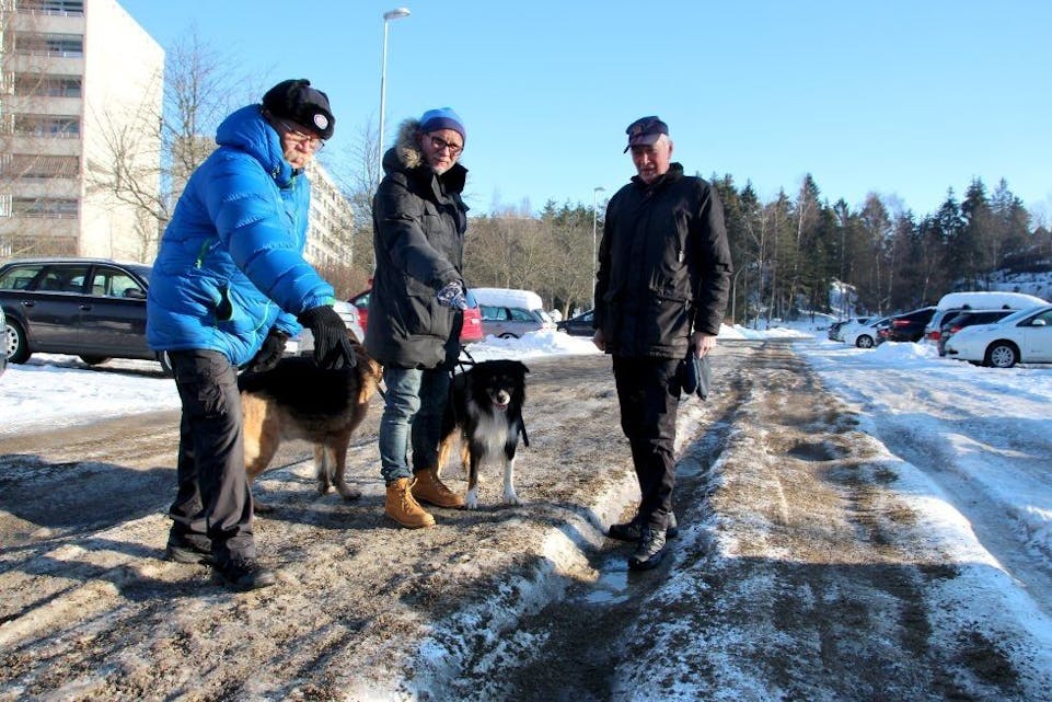 OPPGITTE: Tillitsmann i Ole Brumms vei 42, Per Otto Blomquist, Adam Gorski og Øivind Mørk er oppgitte over hvor dårlig brøytet det er på Haugenstua. Foto: