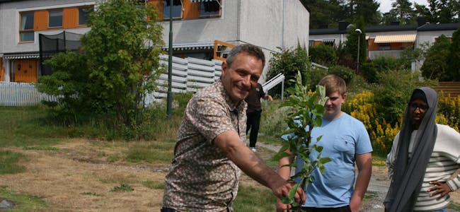 JA TIL GRØNNE JOBBER: Arild Hermstad (MDG) fikk hjelpe Líf Laga med å plante nye epletrær. Den typen jobber vil han ha enda flere av.