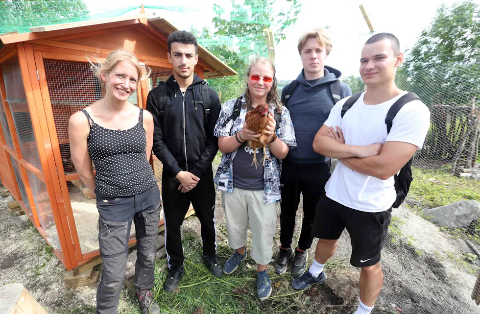 MASSE ROS: Prosjektleder for Ulven nærmiljøhage, Jennifer Spoor, skryter uhemmet av ungdommene hun har på sommerjobb. Her representert med Mohammed (15) (f. v.), Lucek (15) med høna Belinda (3 mnd), Jørgen (17), og Roman (18) som ikke har noe i mot å stelle i hønsegården som er en av mange oppgaver.