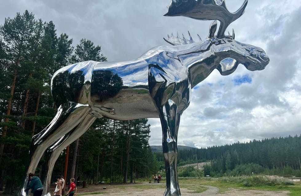 GEDIGEN ELG: Er man i Storelgen skal det selvsagt stoppes for å ta Storelgen i nærmere øyesyn.
