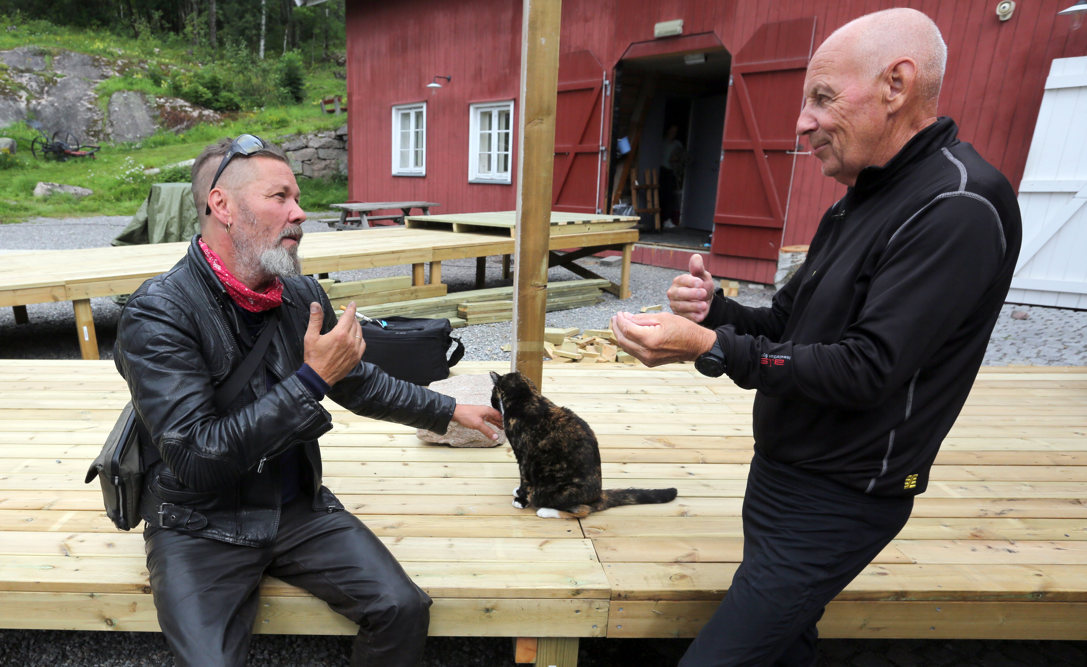 LYTTENDE PUS: Gårdskatten Pia lurer nok på hva Stig Henrik Hoff og Bjørn Haug snakker om.