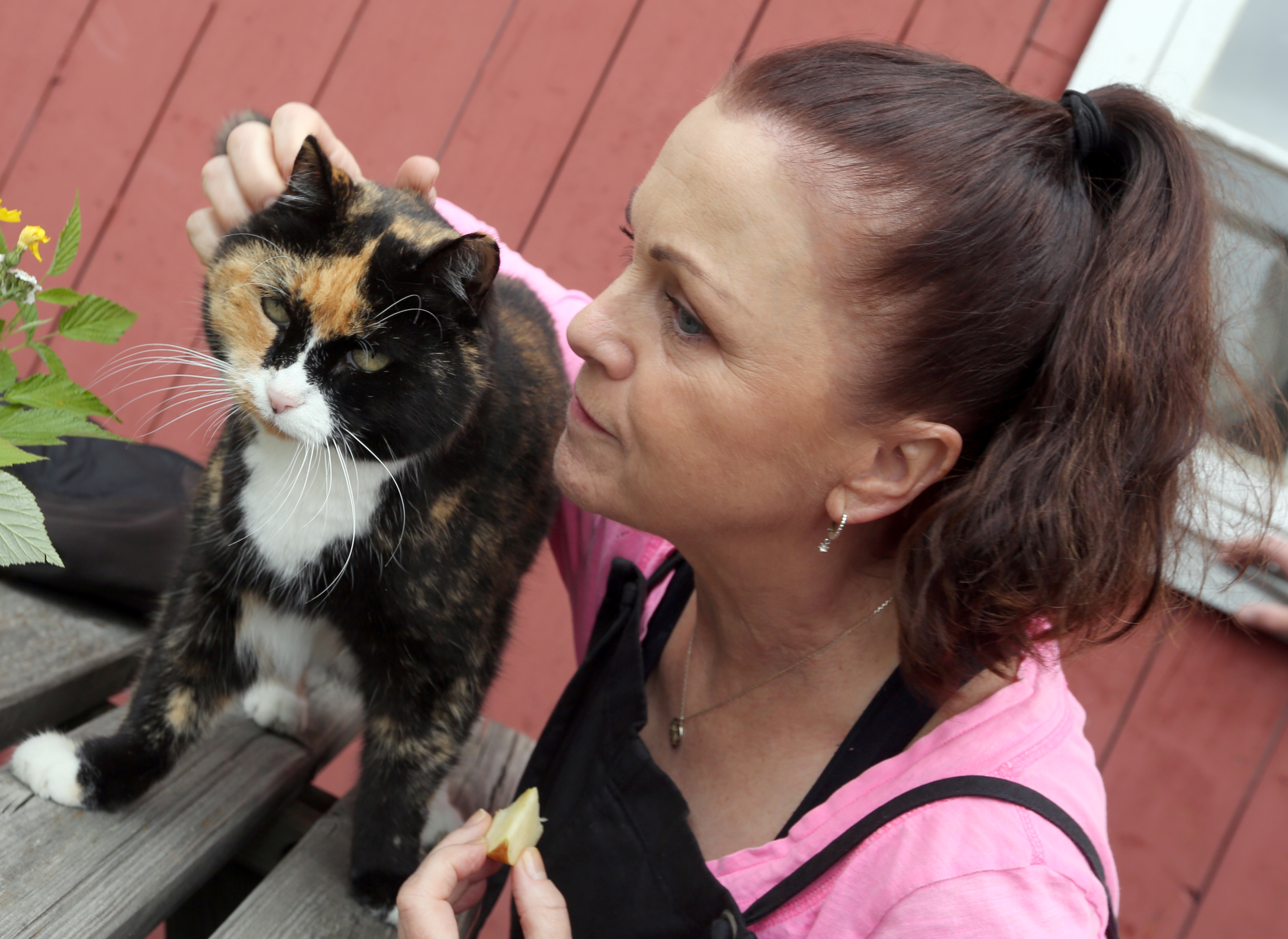 GODE VENNER: Gårsdkatten Pia liker å bli kjent med alle som kommer til gards - her er det Hilde Lyrån som får et møte med den godeste Pia.