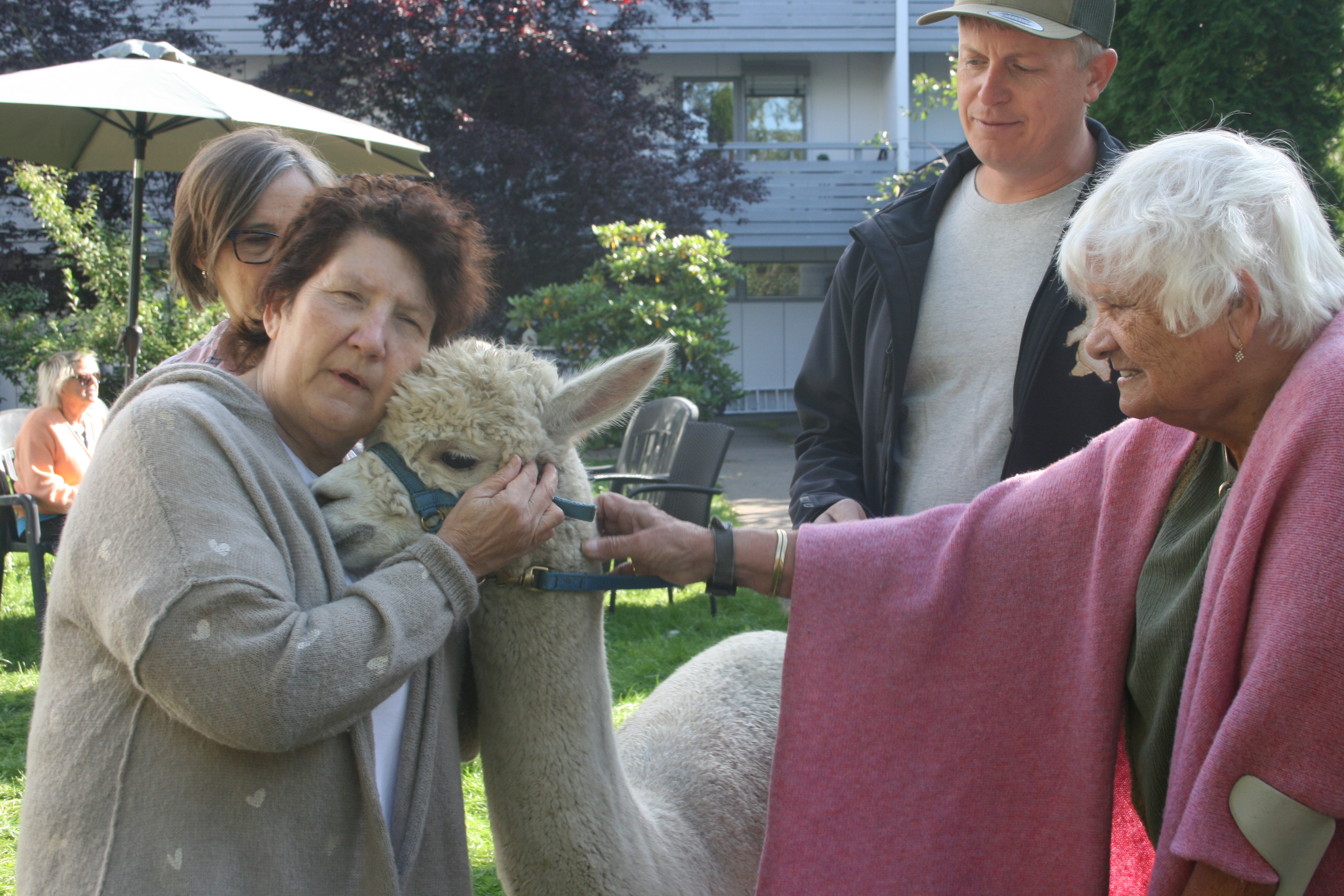GOD KLEM: May Britt Ribland (t.v.) gir alpakkaen Charlie en god klem. Inger Synnøve Gundersen gir han litt kos, mens Jørn Brændshøi følger med i bakgrunnen.