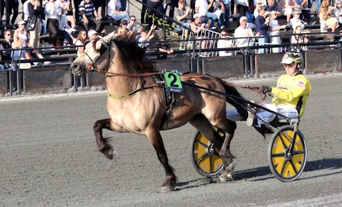 SUVEREN SEIER: Brenne Borken ble en suveren vinner av Norsk Derby for Kaldblodshester 2023.