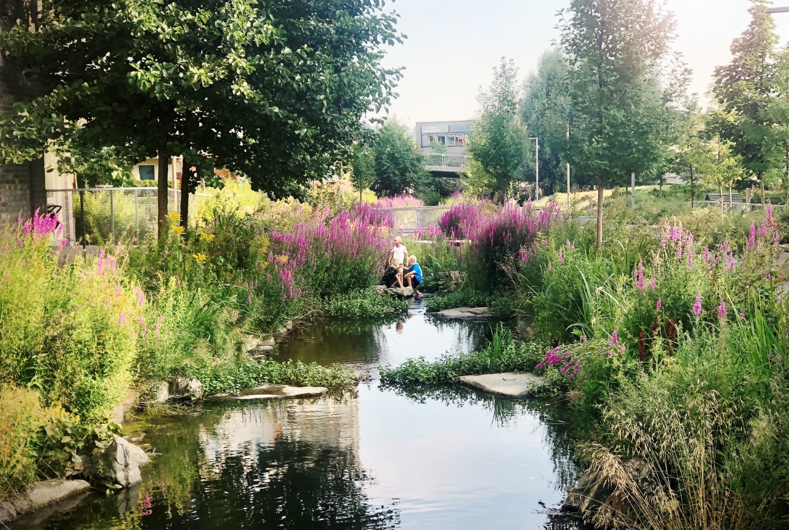 VINNER: Hovinbekken gikk helt til topps i Oslo bys arkitekturpris. (Foto: Foto Bjørbekk & Lindheim)