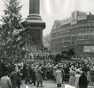 300 LYS: Det første norske juletreet som ble satt opp på Trafalgar Square i 1947 ble dekket med hele 300 lys. Foto: Fra arkivet etter Landslaget for reiseliv i Norge. 