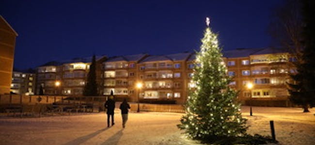 NÅ SKINNER DEN: Julegranene på Kalbakken er tent og lyser opp mørket.