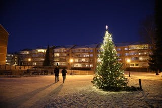 NÅ SKINNER DEN: Julegranene på Kalbakken er tent og lyser opp mørket.