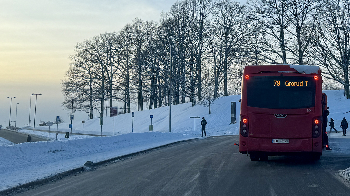 79-bussen