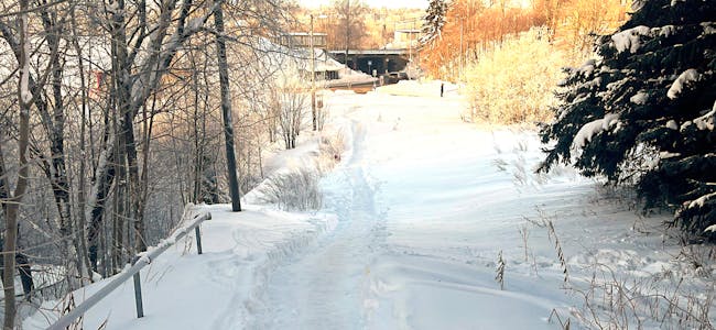 Man må være svært forsiktig når man går ned veien til bussen og jernbanen, det som nå ligner mer på en nedtråkket snøsti. I enden ser vi Grorud jernbanestasjon.