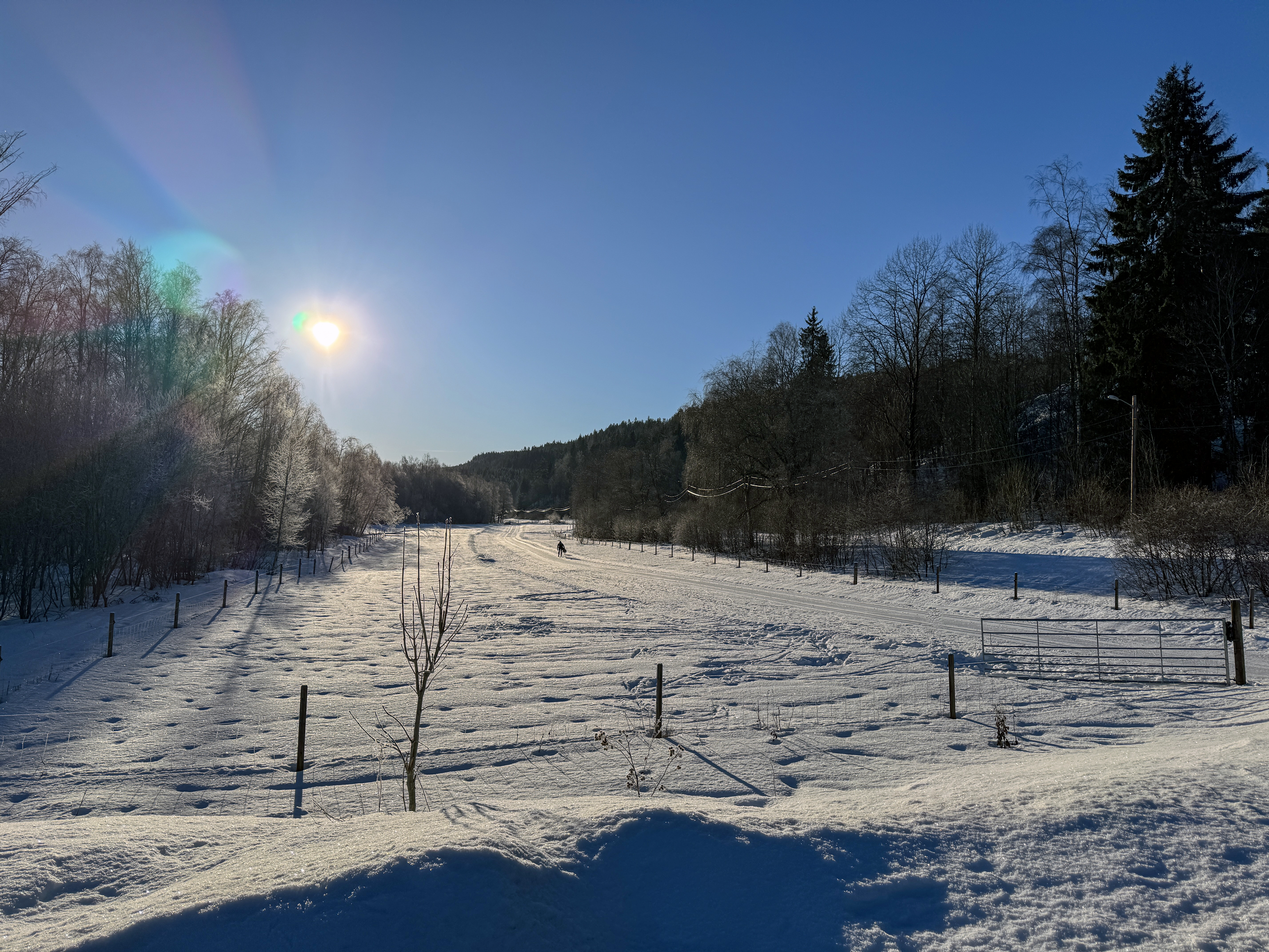 Skiløypa fra Ellingsrud og inn til Mariholtet og videre inn i Østmarka.
