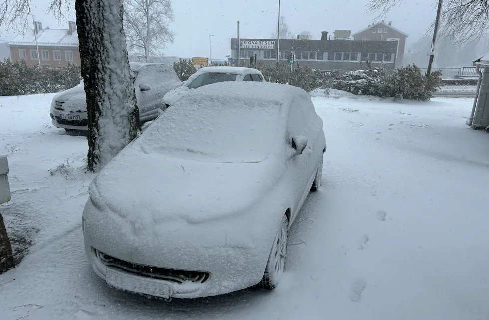 MER SNØ: Nei, takk, sier vi til det og undrer oss over hvor hestehoven blir av.