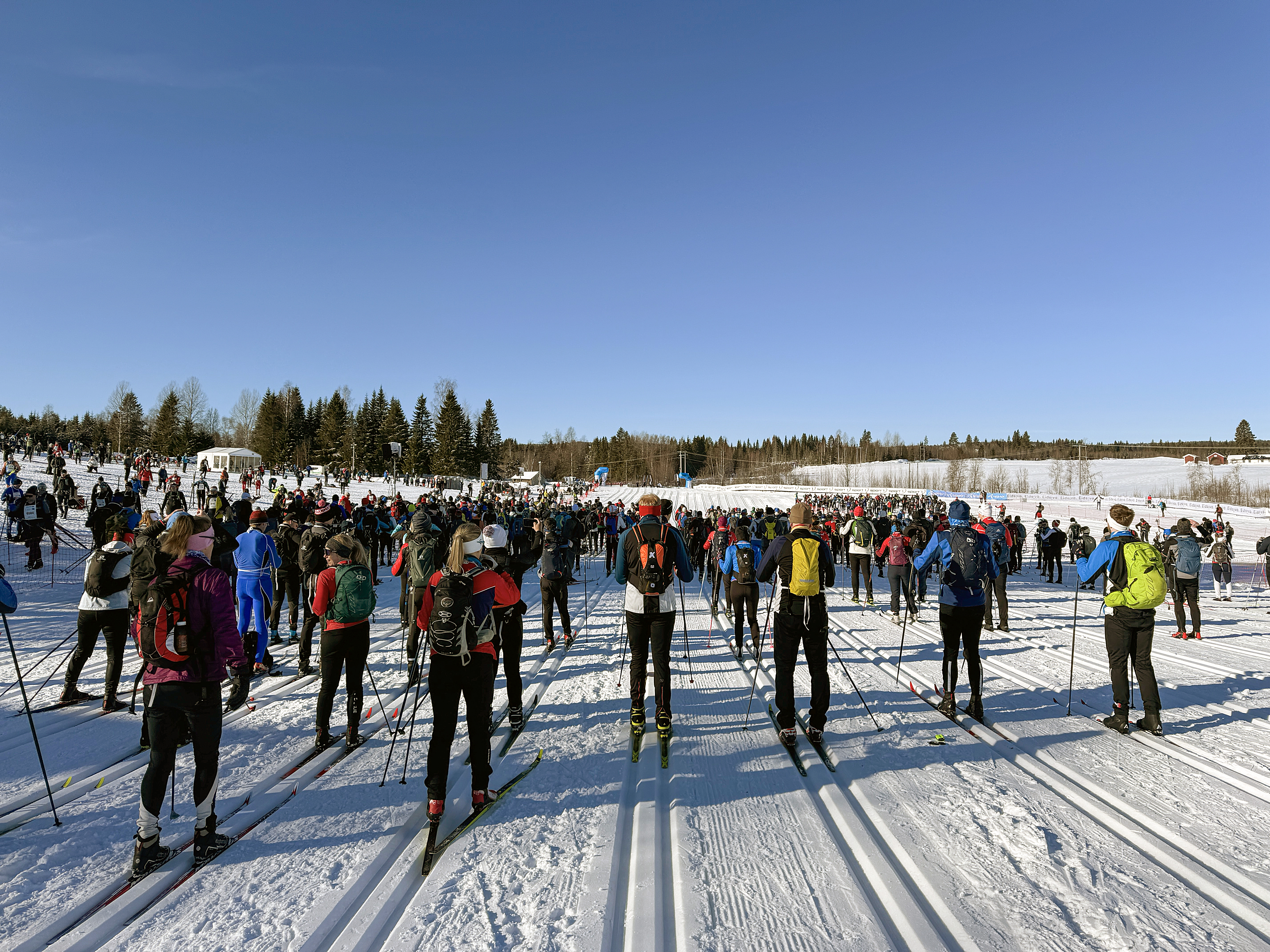 Tingstadjordet før start i pulje 10. Dette blir en fin dag.