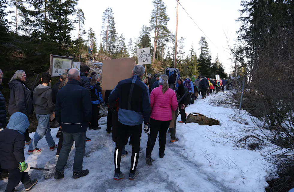 LANGT TOG: De gjorde seg klart synlige i ettermiddagssola.