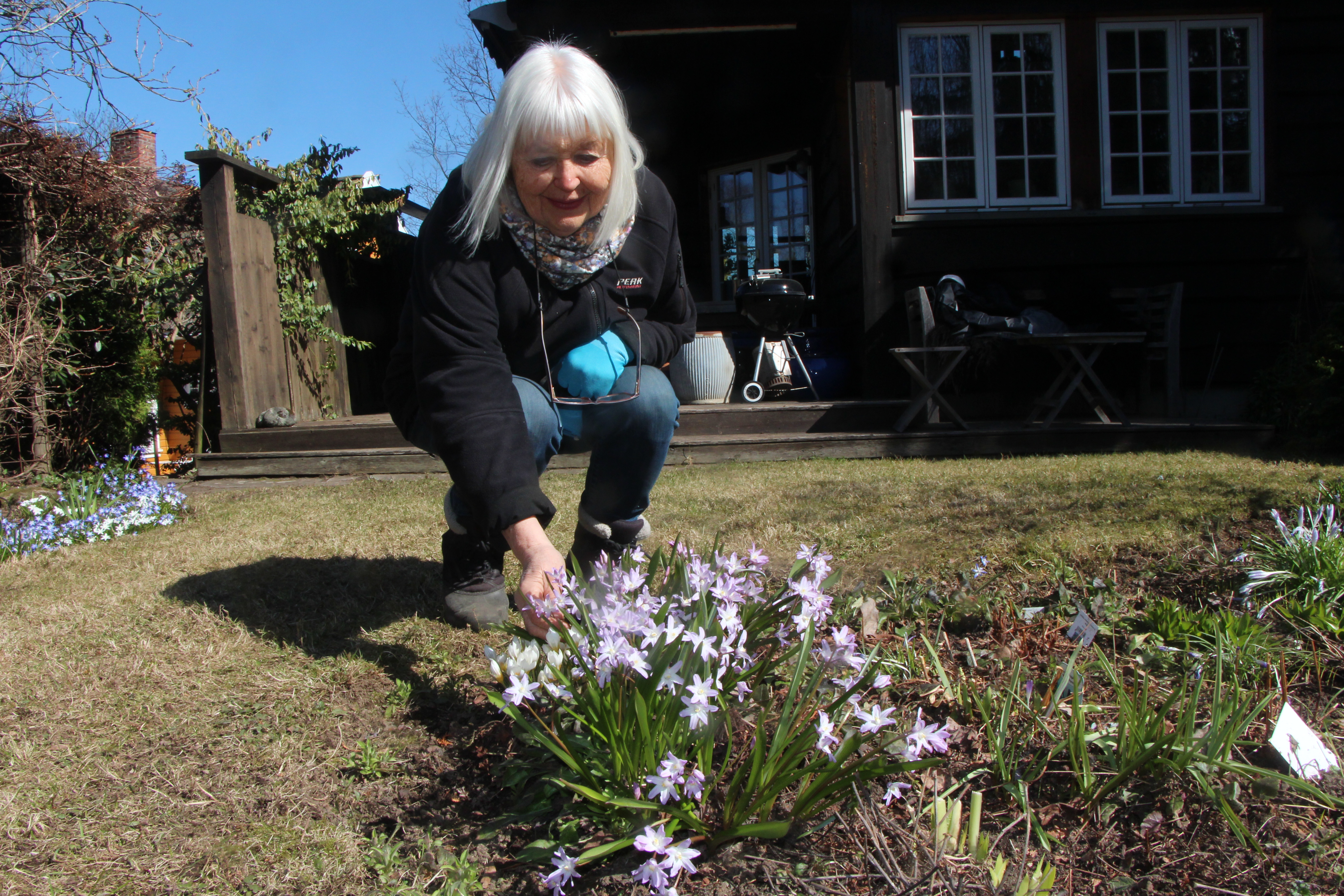 BLOMSTRER TIDLIG: Snøstjerne er en av blomstene som blomstrer tidlig på våren og tåler både kulde, sol og vind. Sammen med løkplanter pynter disse blomstene opp hagen til Hagelag-lederen Liv-Mette Gran. 